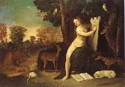Dosso Dossi Circ with their alskare oil on canvas